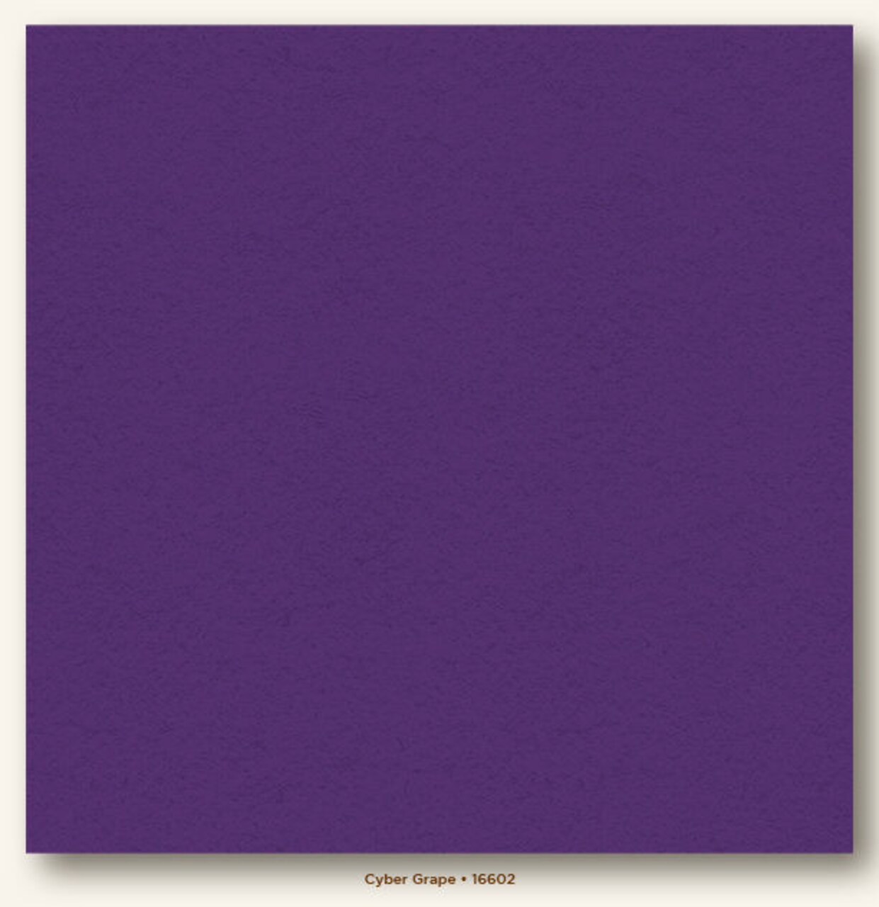 Cyber Grape Heavyweight My Colors Cardstock - Photoplay